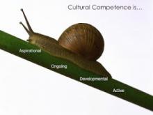 snail climbing a twig with the words, aspirational, ongoing, developmental, active